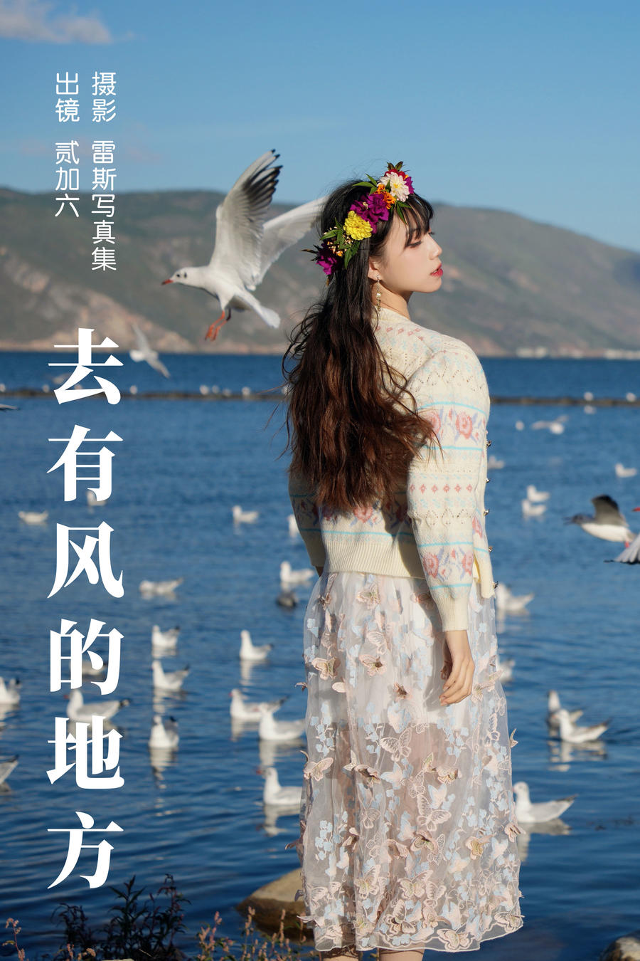 兔子Zzz不吃胡萝卜-去有风的地方29712